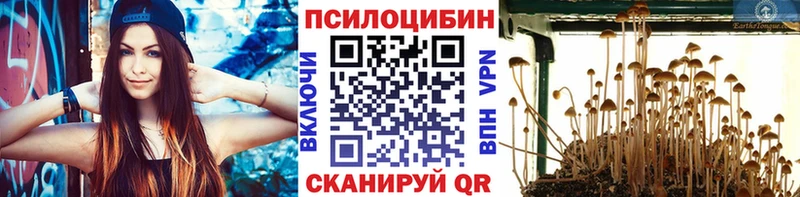 Купить закладки Новый Уренгой Галлюциногенные грибы ЛСД