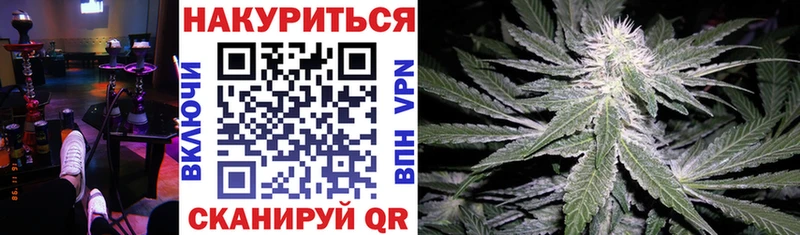 Конопля SATIVA & INDICA Купить где Новый Уренгой